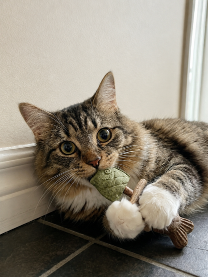 Sterling Velnok™ Catnip & Silvervine Chew