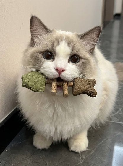 Sterling Velnok™ Catnip & Silvervine Chew
