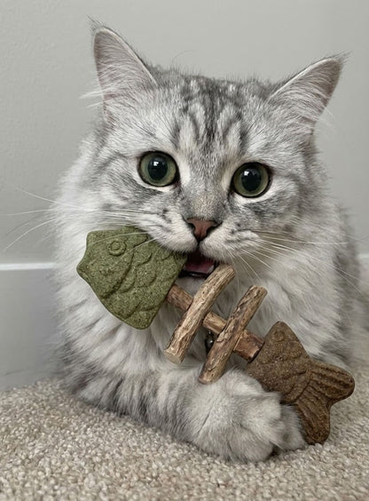 Sterling Velnok™ Catnip & Silvervine Chew