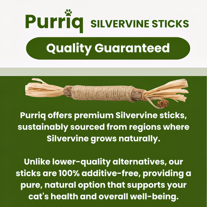 Velnok™ Natural Silvervine Dental Sticks