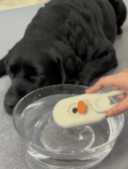 Velnok™ PetAura Pet Grooming Brush